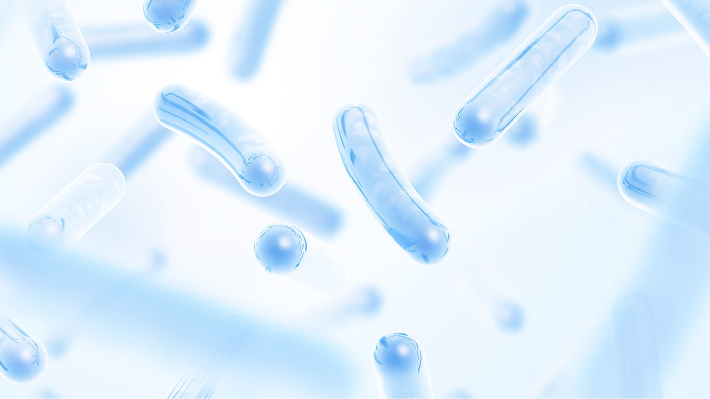 Lactobacillus gasseri