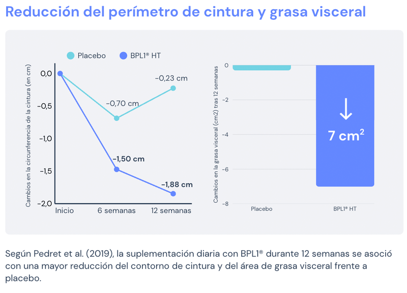 Reducción del perímetro de cintura y grasa visceral