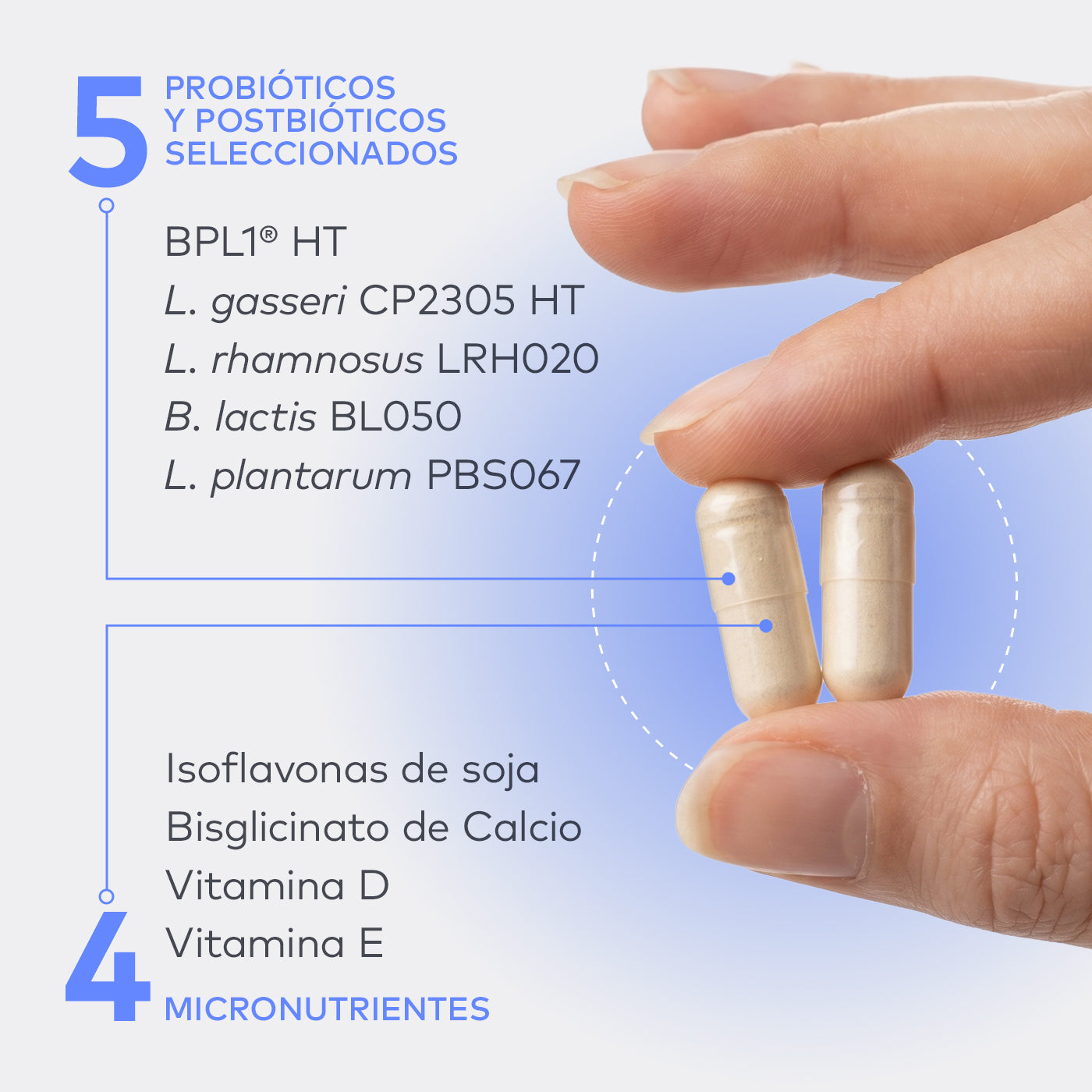Formulación de FEM45+: 5 cepas probióticas seleccionadas y 4 micronutrientes para la salud femenina